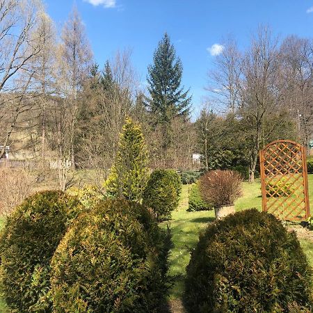 Apartament Halina Lejlighed Lądek-Zdrój Eksteriør billede