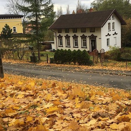 Apartament Halina Lejlighed Lądek-Zdrój Eksteriør billede
